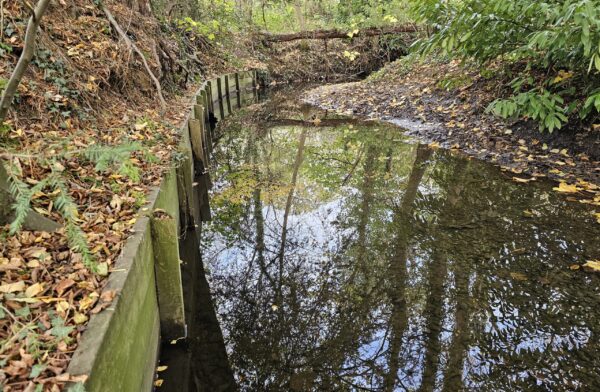 Urban River Restoration, River Condition Assessment & Biodiversity Net Gain (BNG) Case Study