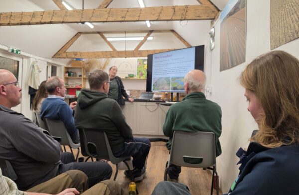 River Stour Catchment Walkovers & River Restoration Optioneering, Dorset.